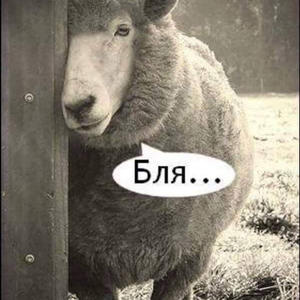 Всякое разное