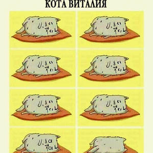Братья меньшие