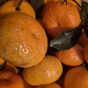 Вкуснотень