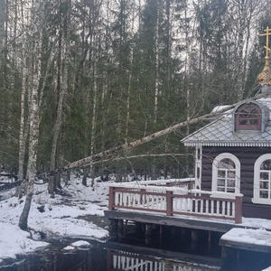 Братья меньшие