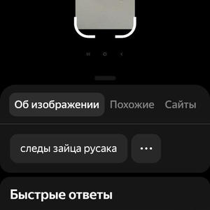 Братья меньшие