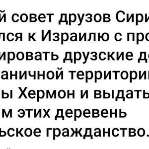 Пикейные жилеты