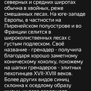 Братья меньшие