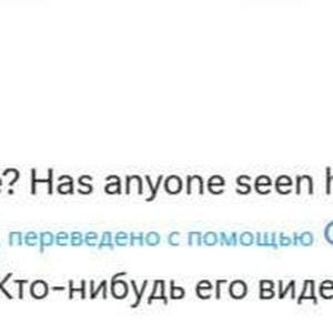 Пикейные жилеты