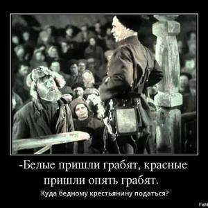 Пикейные жилеты