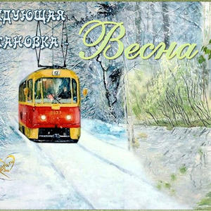 Пикейные жилеты