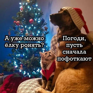 Братья меньшие
