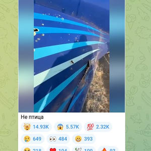 Пикейные жилеты