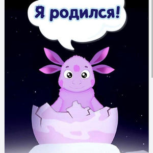 Пикейные жилеты