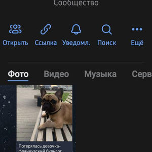 Братья меньшие