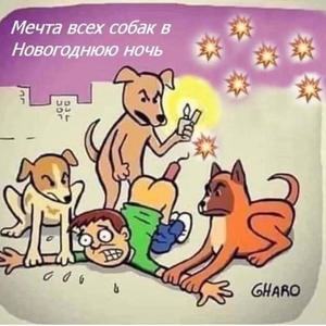 Братья меньшие