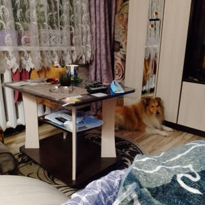 Братья меньшие