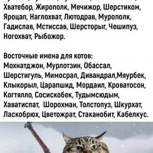 Братья меньшие