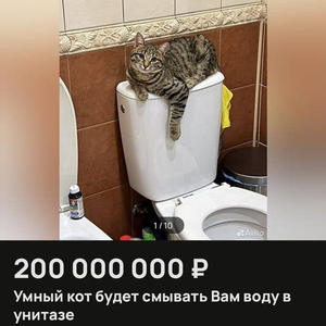 Братья меньшие