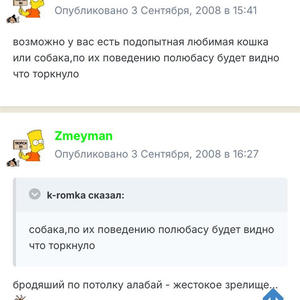 Братья меньшие
