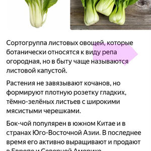Вкуснотень