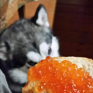 Братья меньшие