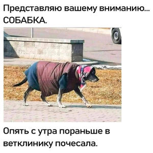 Братья меньшие