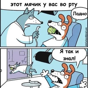 Братья меньшие