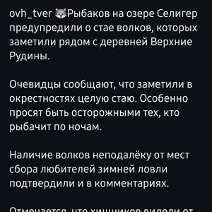 Братья меньшие