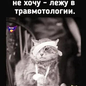 Братья меньшие