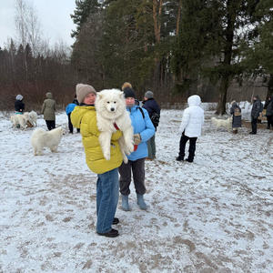 Братья меньшие