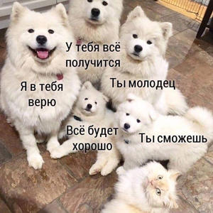 Братья меньшие