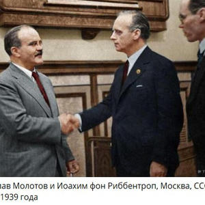 Пикейные жилеты
