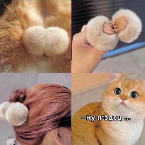Братья меньшие