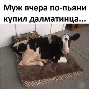 Братья меньшие