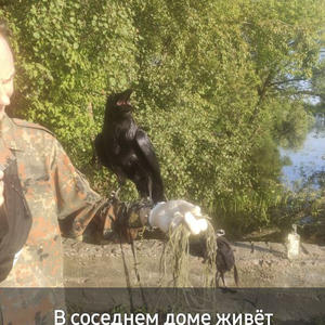 Всякое разное