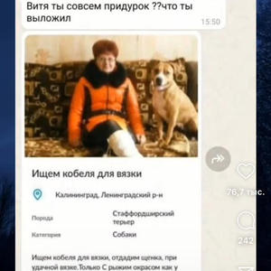 Братья меньшие