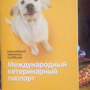 Братья меньшие