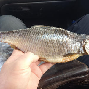 Вкуснотень