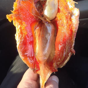 Вкуснотень