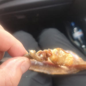 Вкуснотень