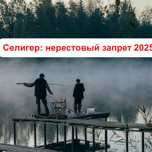 Нерестовый запрет и правила рыбалки на Селигере – кратко и понятно