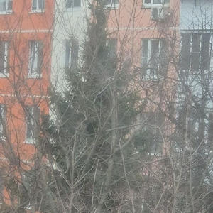 Всякое разное