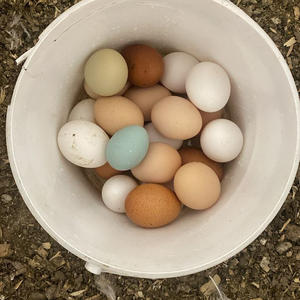 Вкуснотень