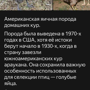 Вкуснотень