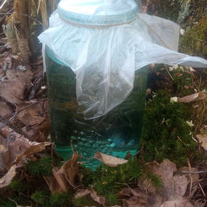 Вкуснотень