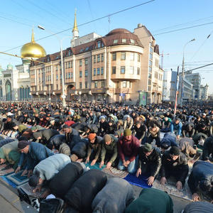 Пикейные жилеты