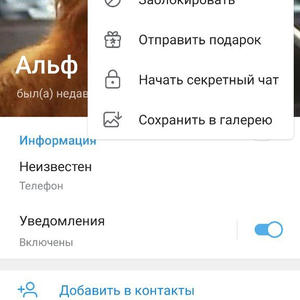 Всякое разное