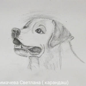 Братья меньшие