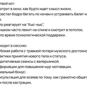 Братья меньшие