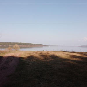 Братья меньшие