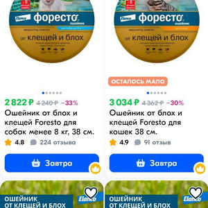 Братья меньшие