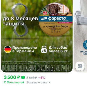 Братья меньшие