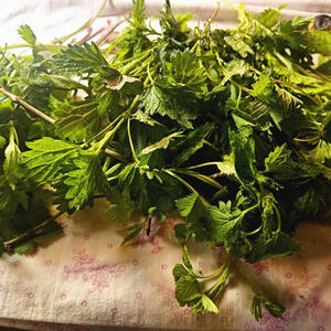 Вкуснотень
