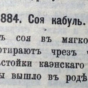 Вкуснотень